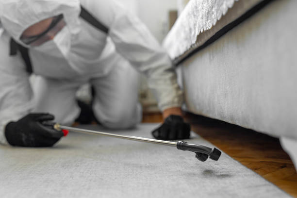 Professional Termite Control technician working in Litchfield, MN