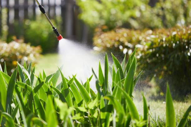 24/7 Emergency Termite Control experts in Litchfield, MN